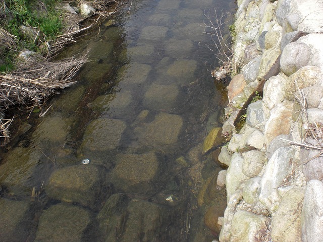 山水ロック（標準）